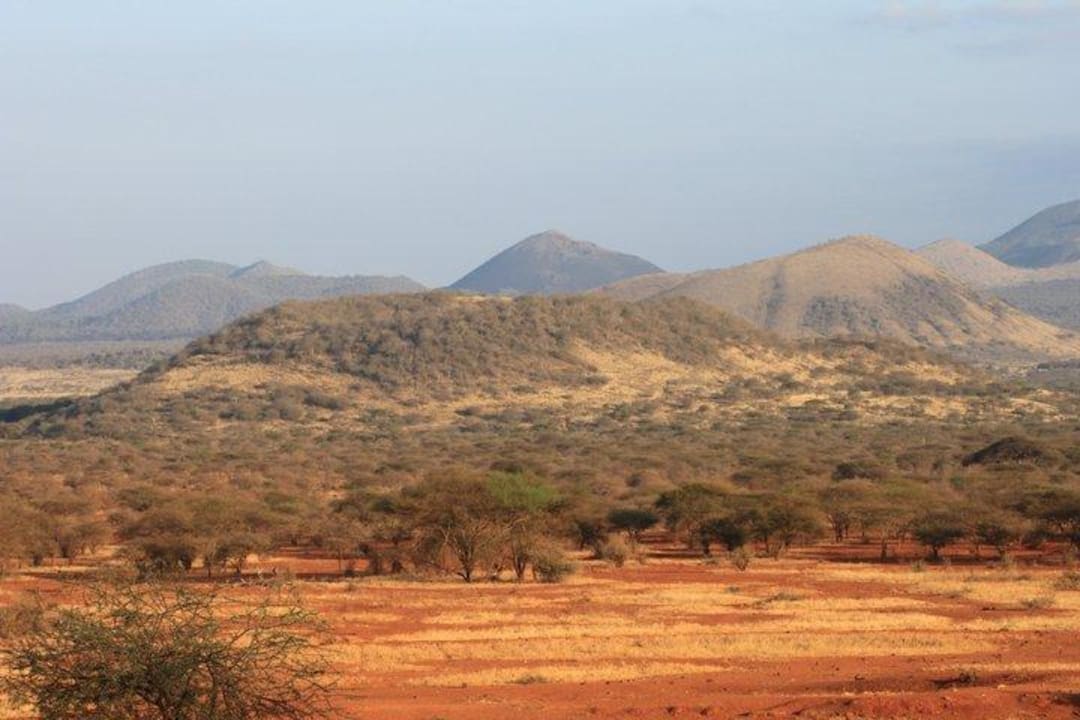 Blick von der Restaurant-Terrasse Kilaguni Serena Safari Lodge
