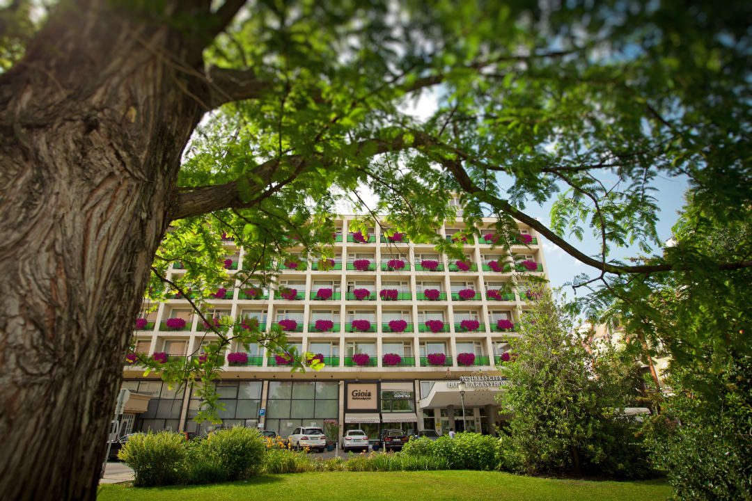 Aranyhomok Business-City-Wellness Hotel**** Wellness Hotel Aranyhomok