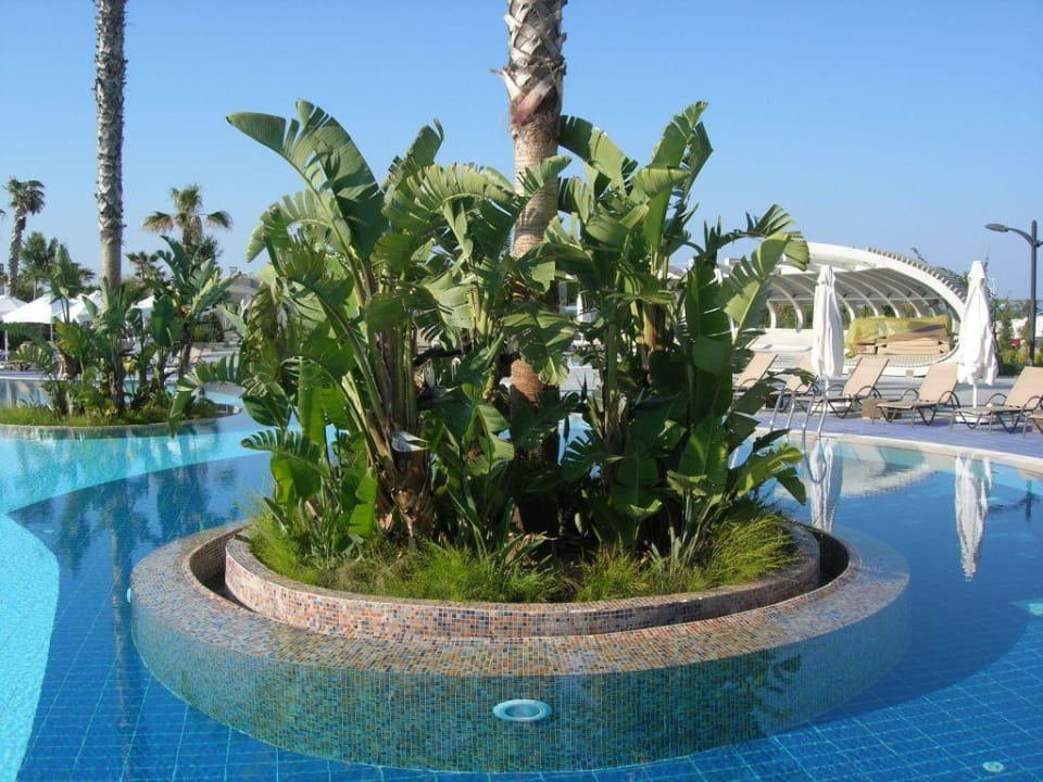 Pool area Susesi Luxury Resort