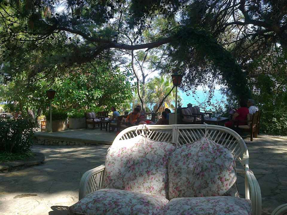 Ausblick von Poolbar Alara Hotel