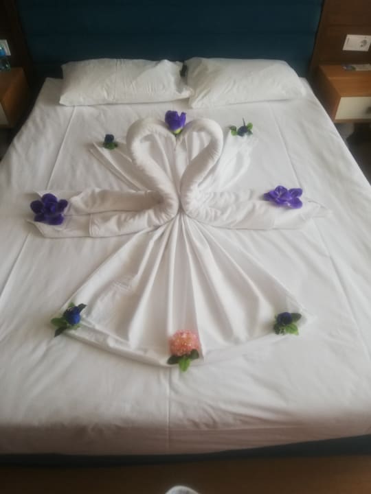 Zimmer Dream World Resort & Spa