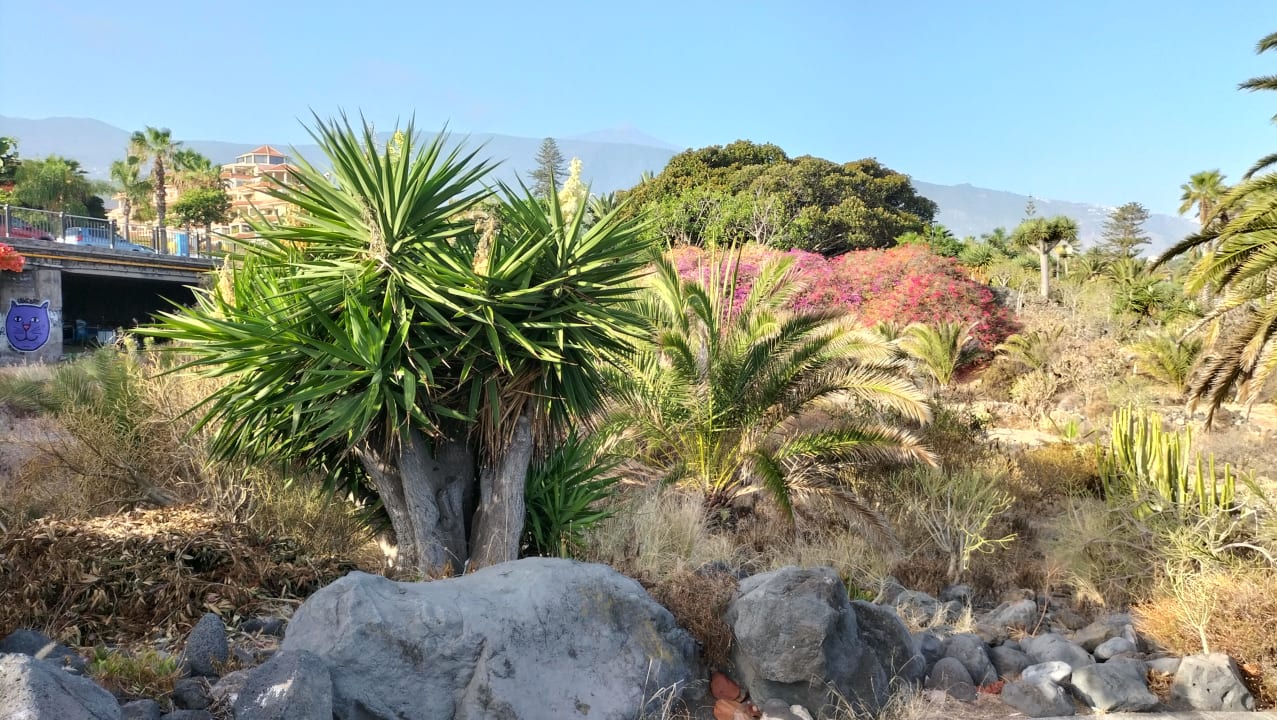 Strand Be Live Tenerife - Adults only
