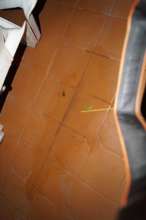 Vistaflor Bungalows Vistaflor