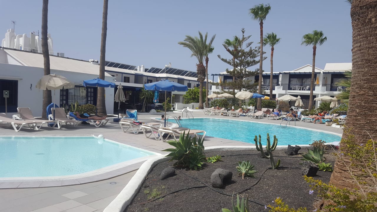 Pool mit Poolbar Bungalows & Appartements Playamar