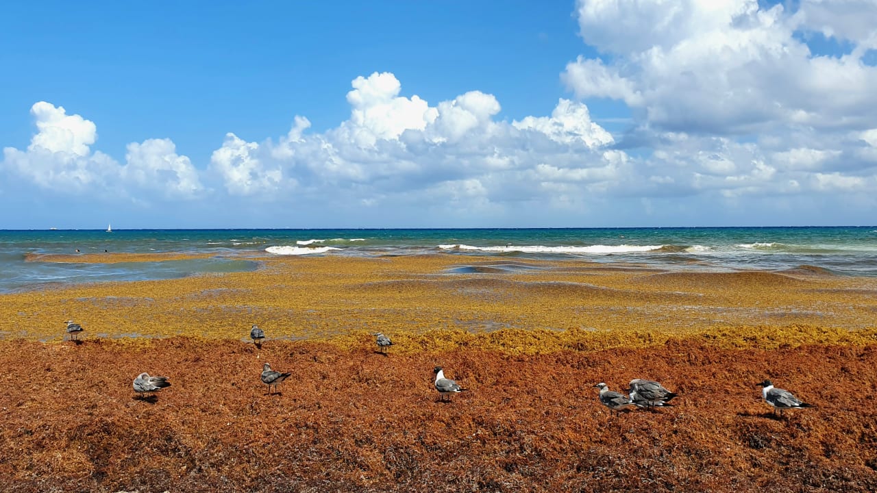 Strand Hotel Riu Palace Riviera Maya