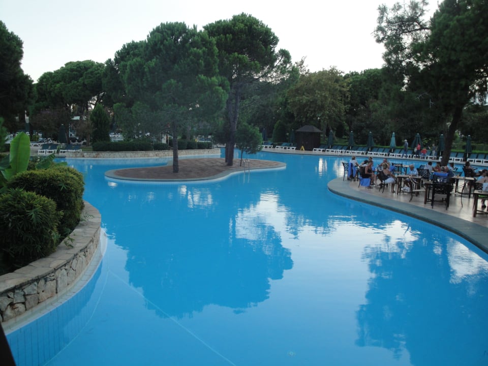 Pool mit Bar IC Hotels Green Palace