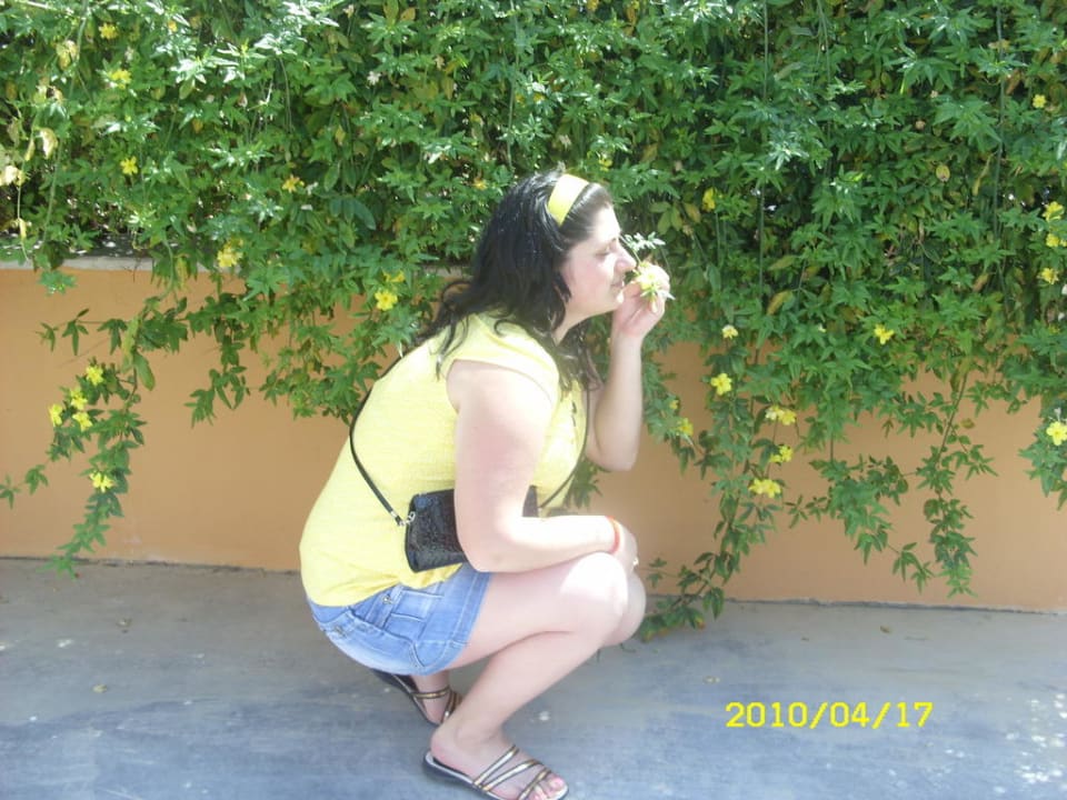 Красота Crystal Paraiso Aqua Collection