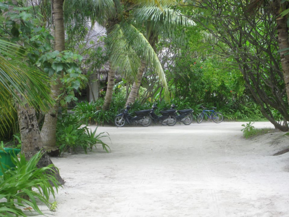 Die Angestellten sind auch mobil Kuramathi Maldives