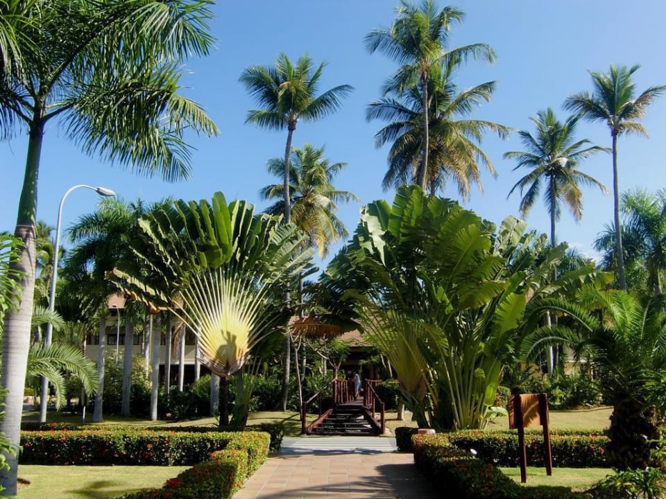 Weg zum Strand Hotel Grand Palladium Palace Resort, Spa & Casino