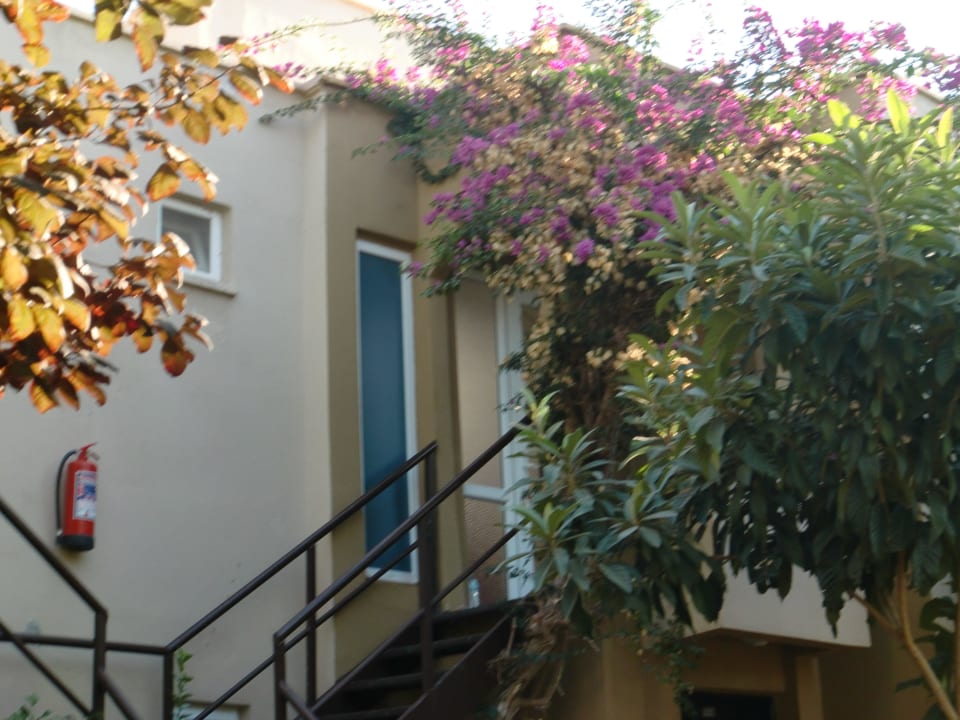 Eingang zum Bungalow Mira Meridia Beach Hotel