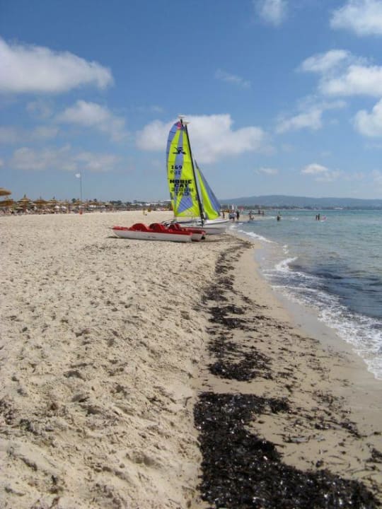 Morgens als dier Strand noch nicht gereinigt Occidental Marco Polo