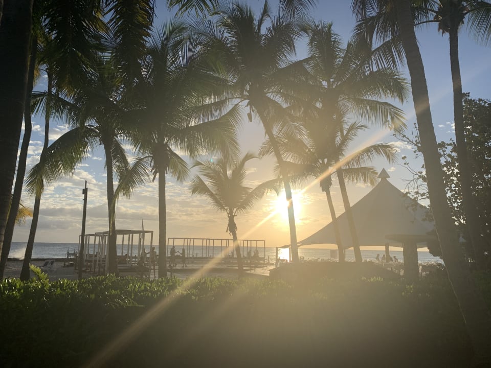 Ausblick Hotel Viva Dominicus Palace by Wyndham-All Inclusive Resort