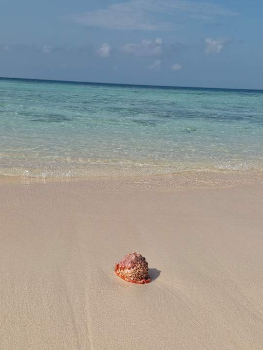 Strand Fruit & Spice Wellness Resort