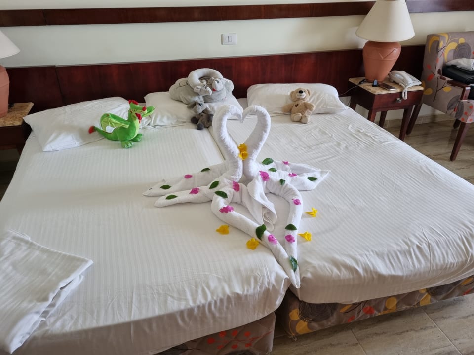 Zimmer Malikia Resort Abu Dabbab