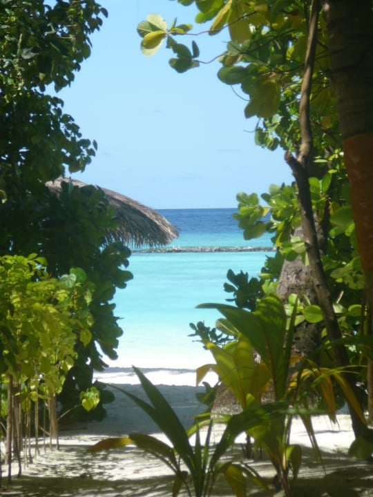 Von unserem Bungi zum Meer Sun Siyam Vilu Reef