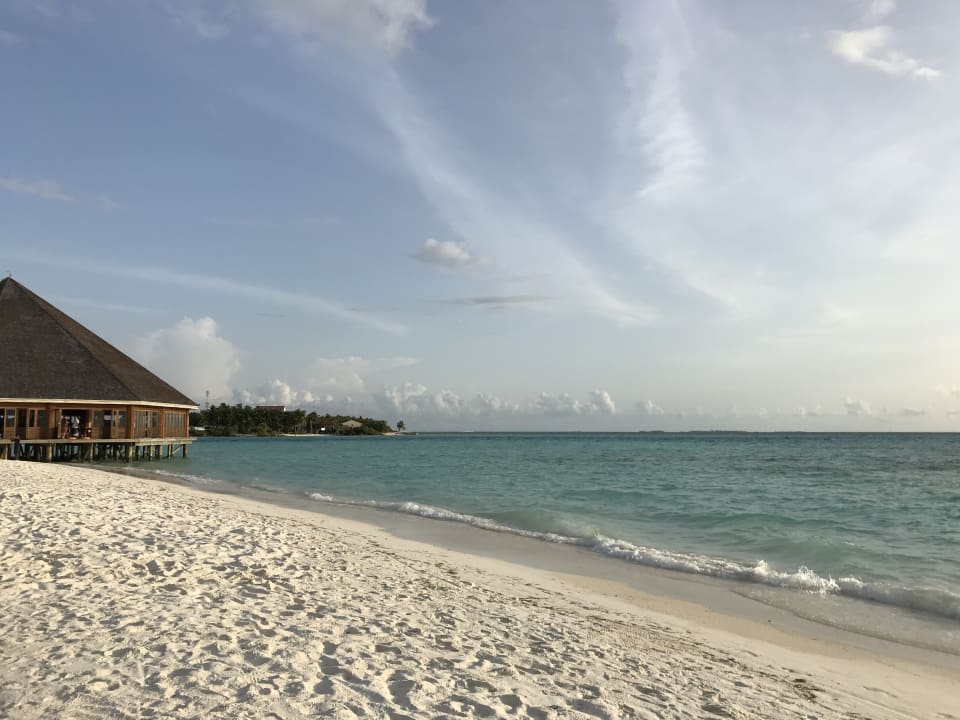 Gastro Meeru Maldives Resort Island