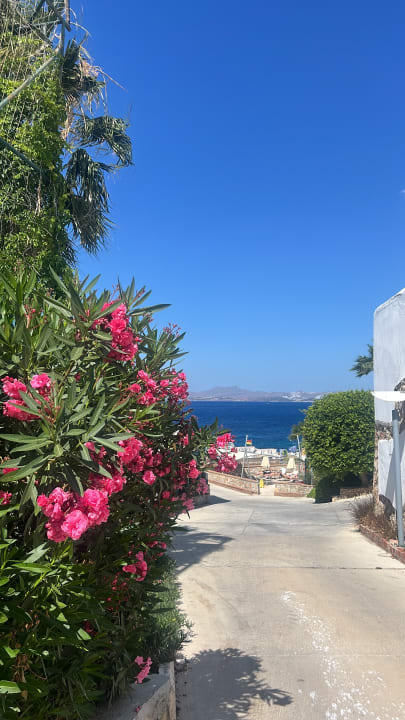 Gartenanlage TUI MAGIC LIFE Bodrum - Adult Only (16+)