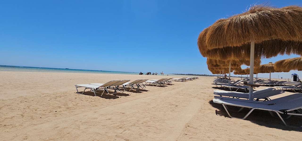 Strand JAZ Elite Asteria