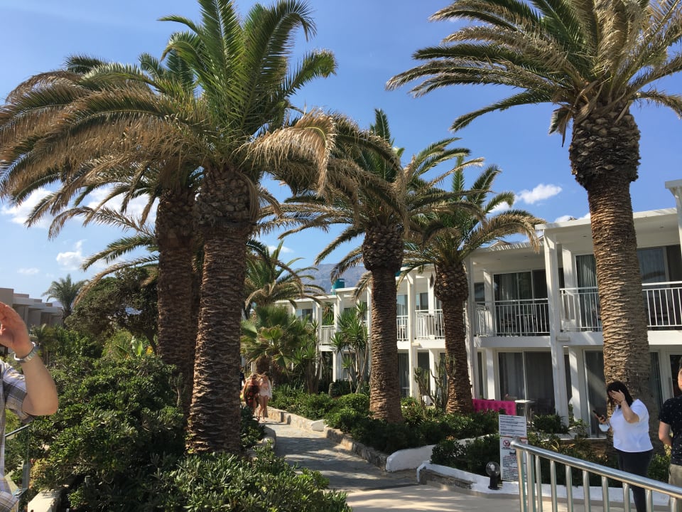 Außenansicht HARPIN Happy Days Beach Hotel