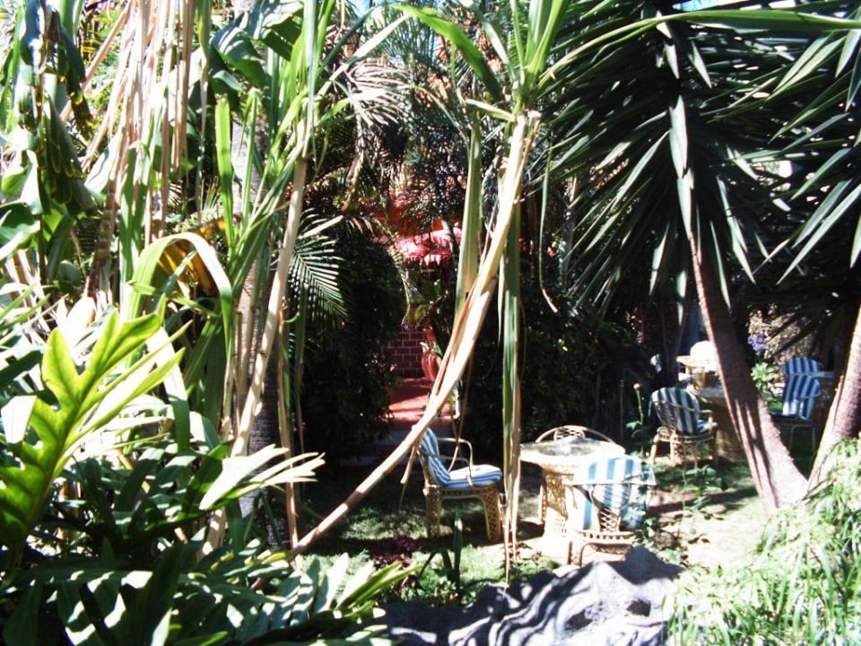 Im Hotelgarten Hotel Don Manolito