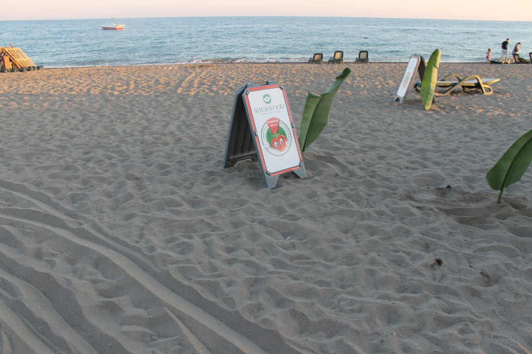 Beachparty Sherwood Dreams Resort