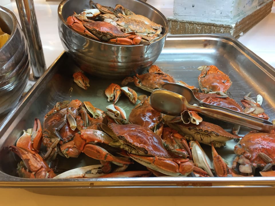 Gastro Adalya Elite Lara