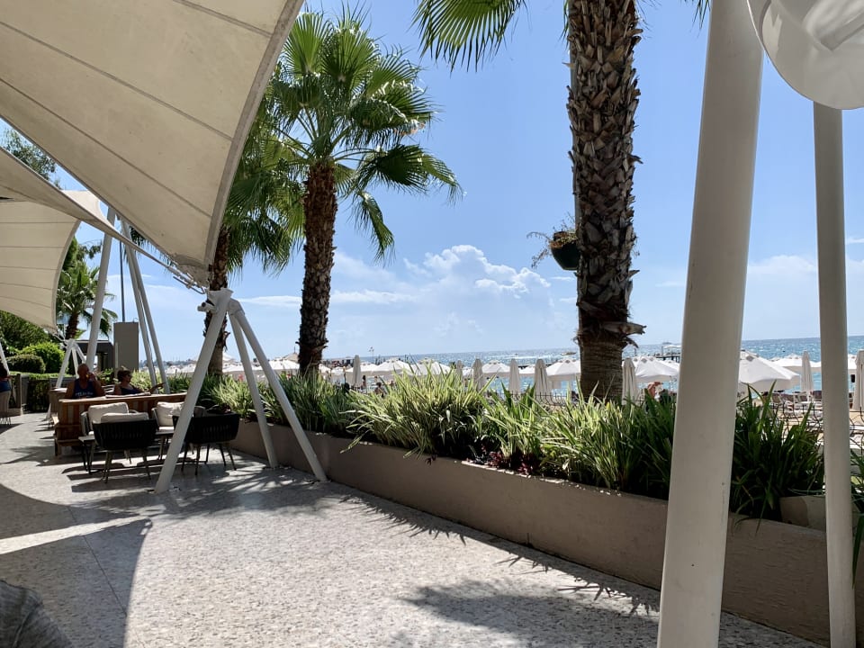 Strand PALOMA Perissia