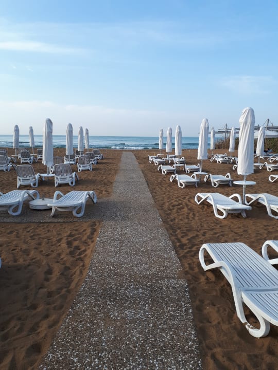 Strand TUI BLUE Side