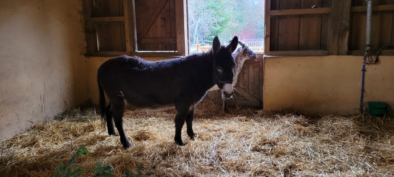 Sport & Freizeit Center Parcs Les Trois Forêts