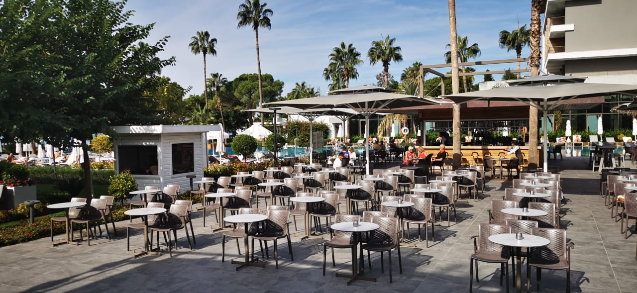 Gastro Acanthus Cennet Barut Collection