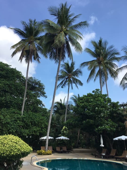 Gartenanlage The Fair House Beach Resort