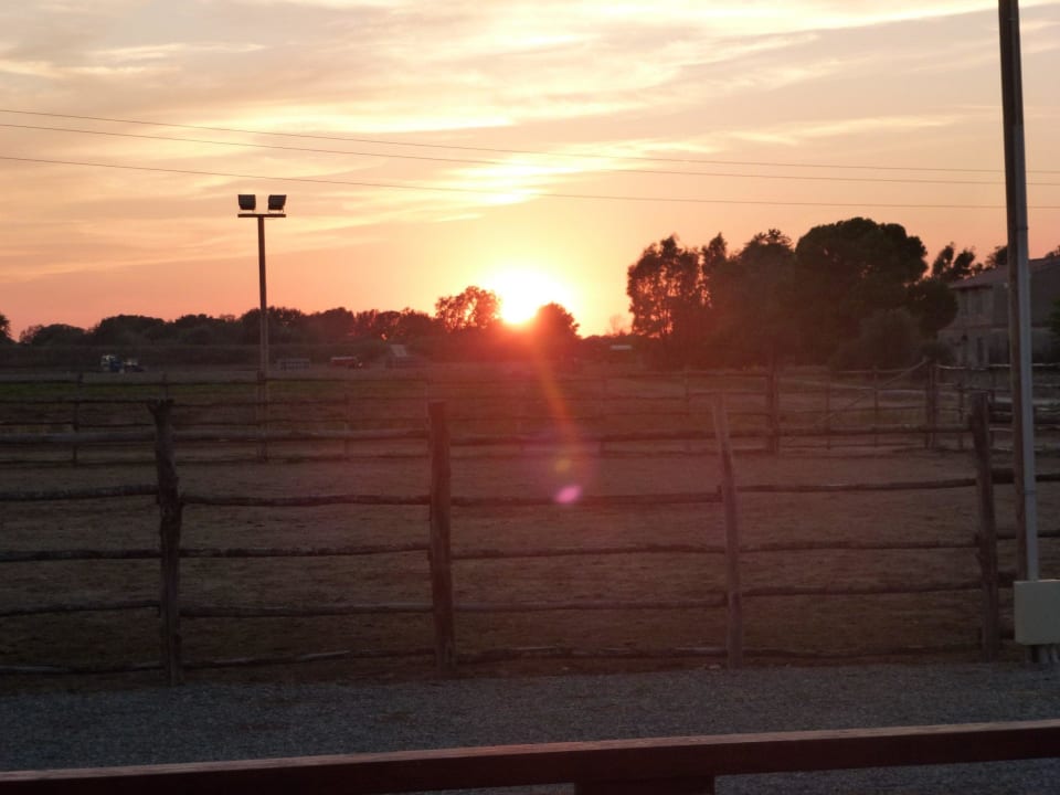 Pferdeanlage auf dem Gelände Agriturismo Giuncola E Granaiolo