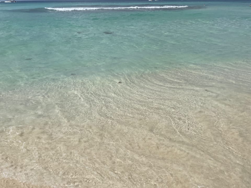 Strand Hotel Viva Dominicus Palace by Wyndham-All Inclusive Resort