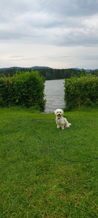 Gartenanlage Gasthof Camping Maltschacher Seewirt