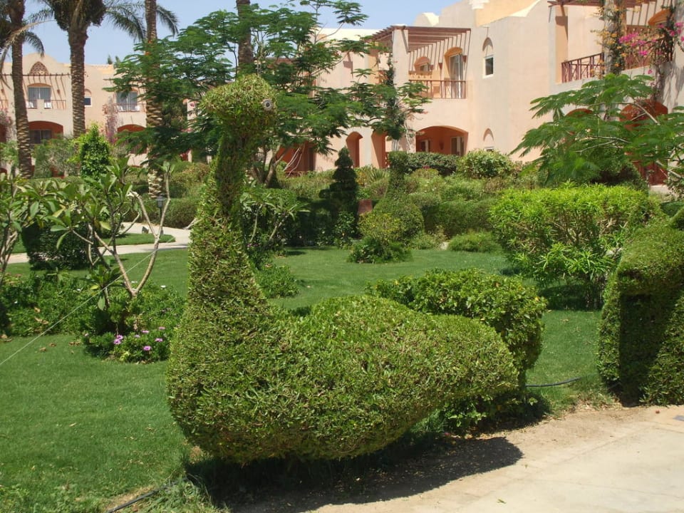 Garten Jaz Makadi Saraya Resort