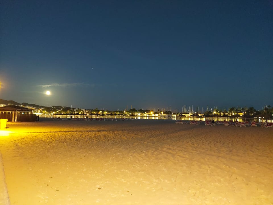 Strand Alcudia Garden Aparthotel