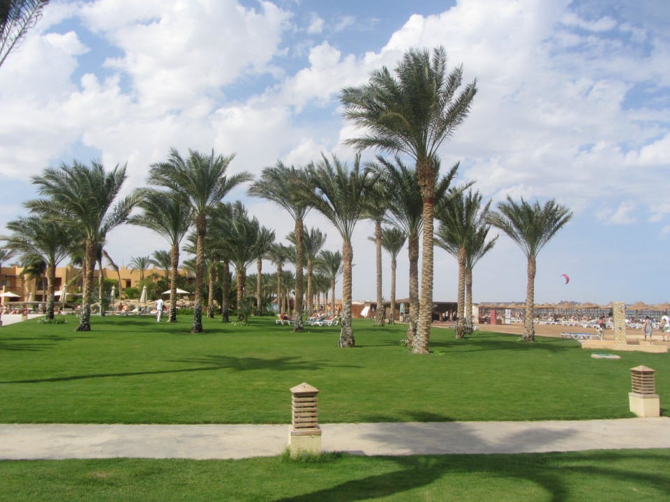 Garten Stella Garden Resort & Spa, Makadi Bay