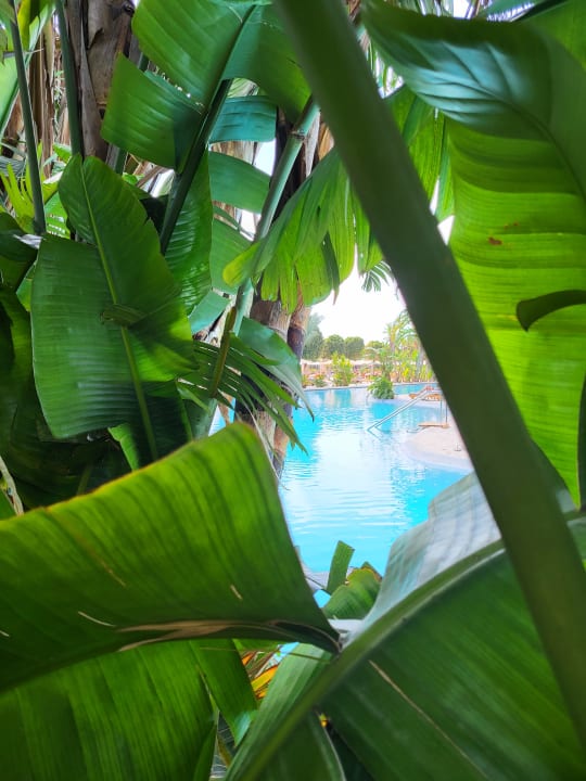 Pool Maxx Royal Belek Golf Resort