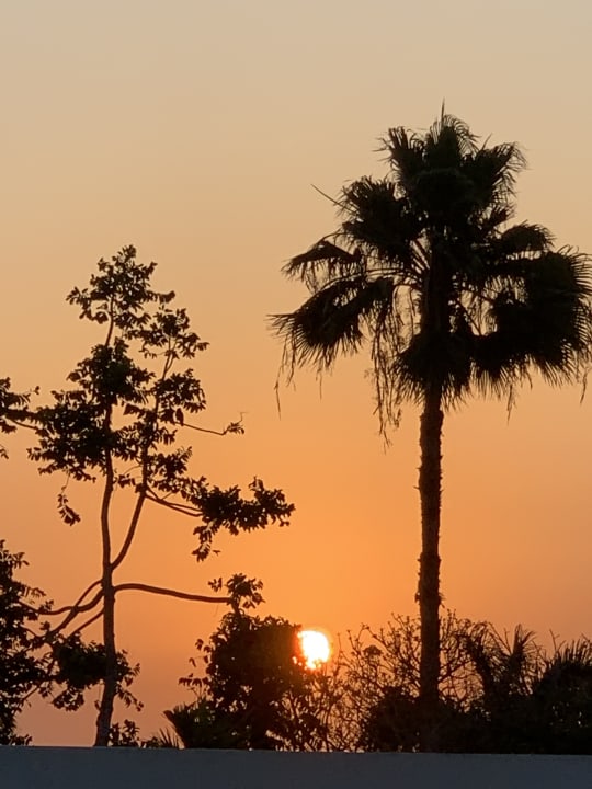 Ausblick Hotel Riu Palace Zanzibar