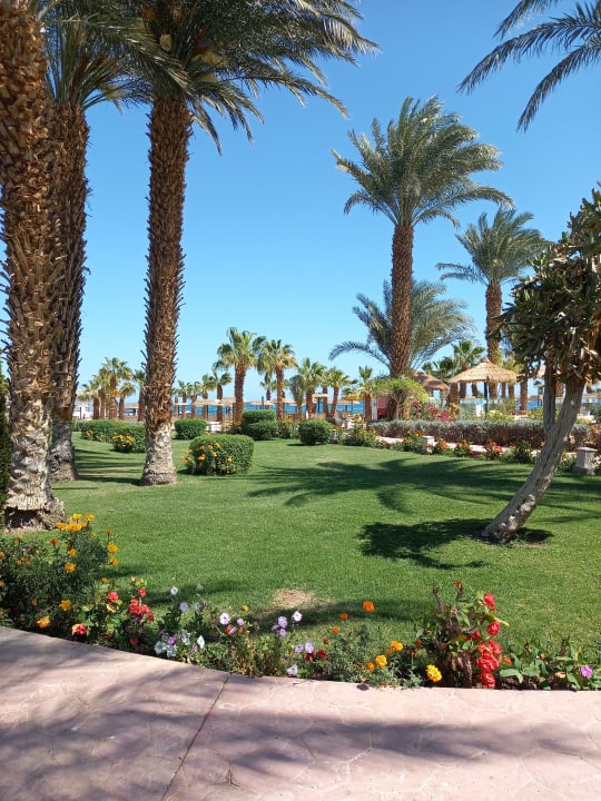 Gartenanlage Lotus Bay Beach Resort