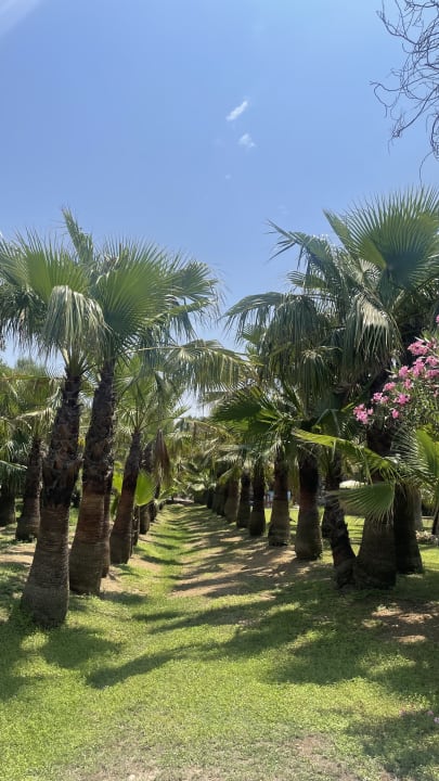 Gartenanlage Seaden Sea World Resort & Spa