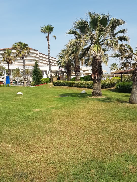 Gartenanlage Starlight Resort Hotel