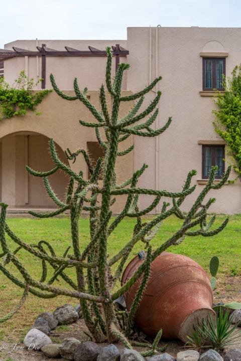 Schön angelegt... Porto Bello Beach
