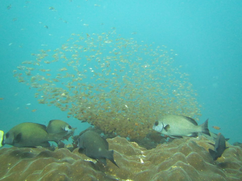 Sport & Freizeit Wyndham Garden Salalah Mirbat