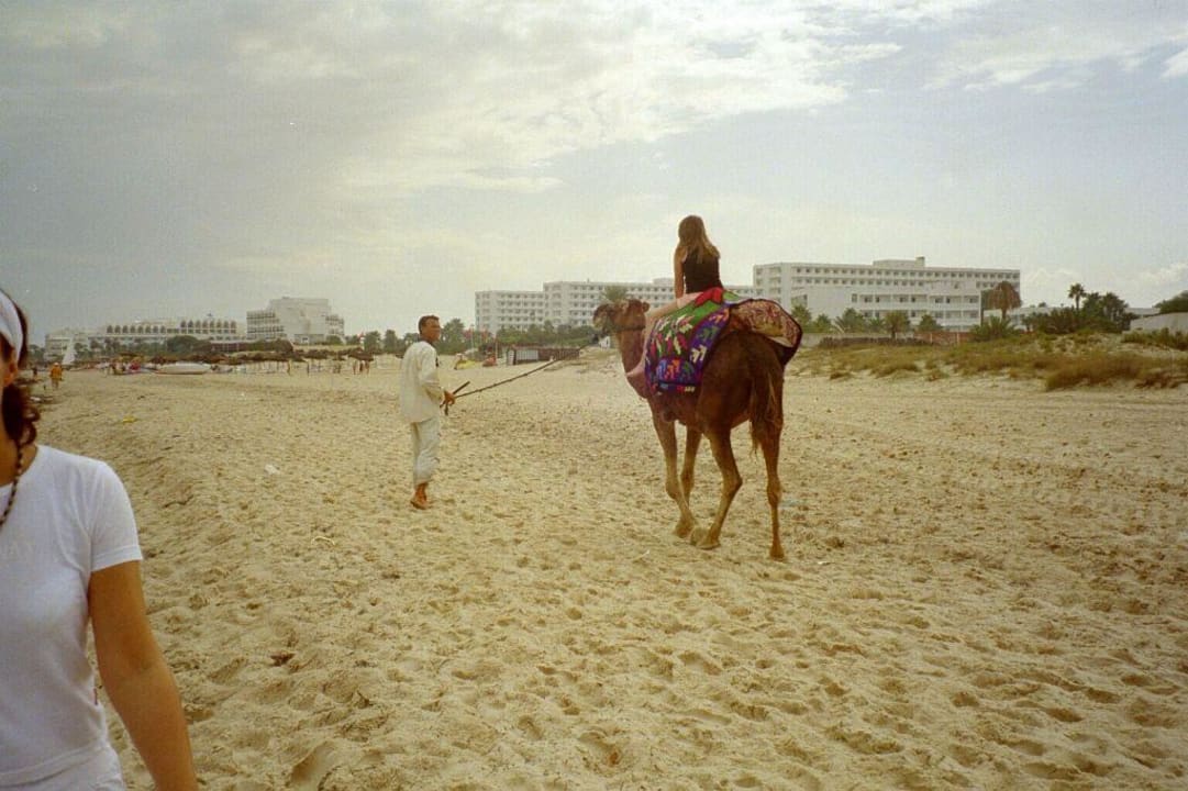 Kamele Hotel Neptunia Skanes