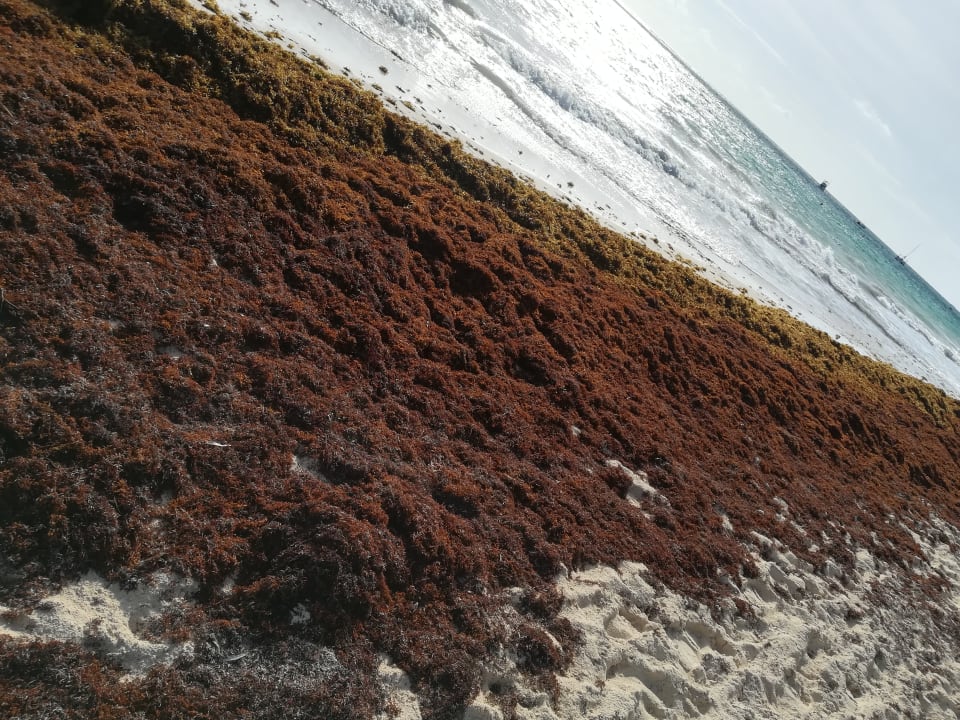 Sonstiges Grand Palladium Select Bávaro Resort & Spa