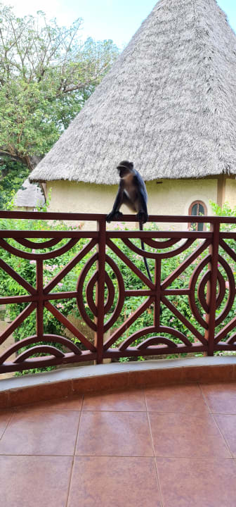 Sonstiges Neptune Paradise Beach Resort & Spa