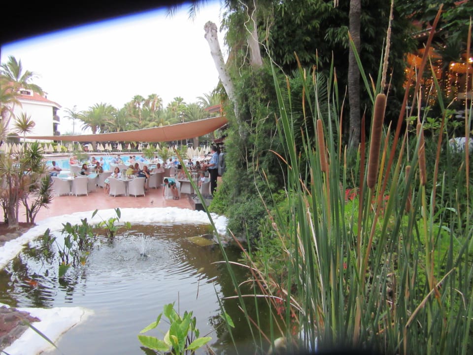 Gastro Hotel Parque Tropical