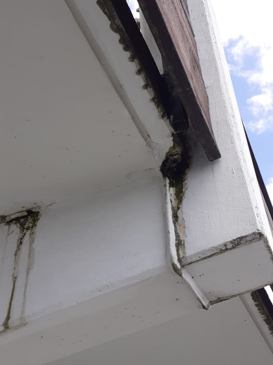 Zimmer Seehotel Leoni