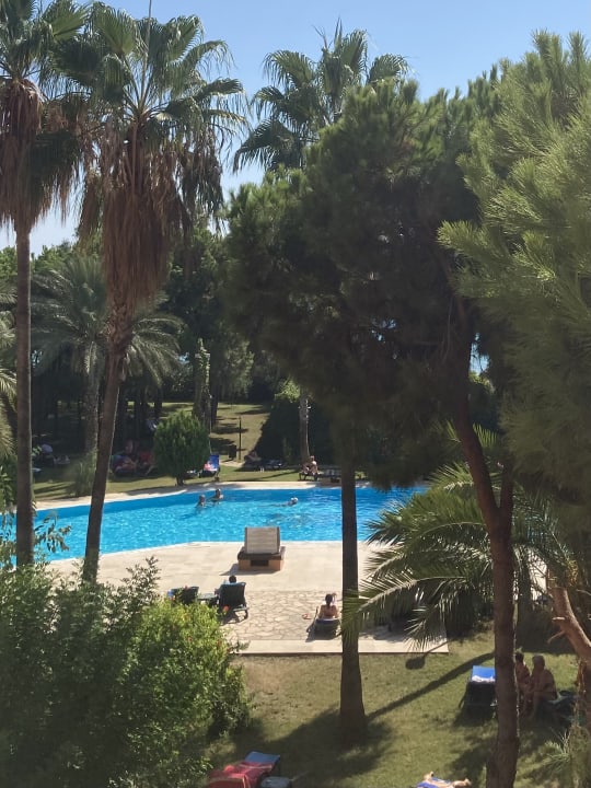 Pool Club Turtas Beach Hotel